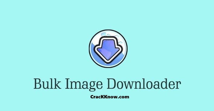 Bulk Image Downloader 6.28 free