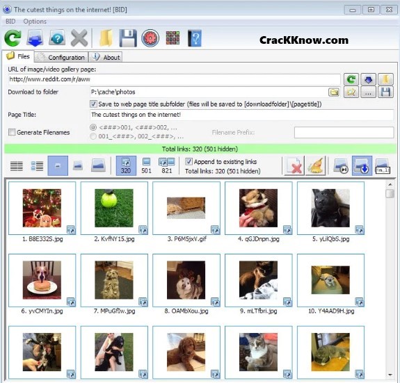 Bulk Image Downloader 6.28 free instals