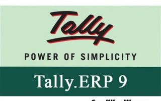 Tally ERP 9 Crack Release 6.6 Pro Version {Zip File 2020}